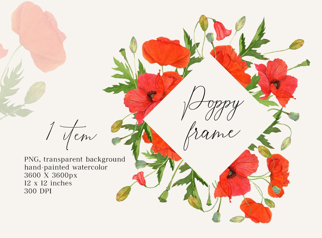 Scarlet Poppy Flower Frame Red Field Wild Flowers Watercolor Floral ...