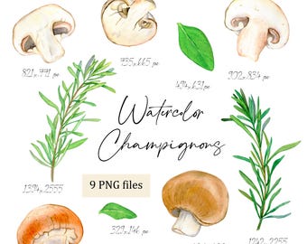Akwarelowy clipart grzybów: Cremini i Portobello (cyfrowy PNG)