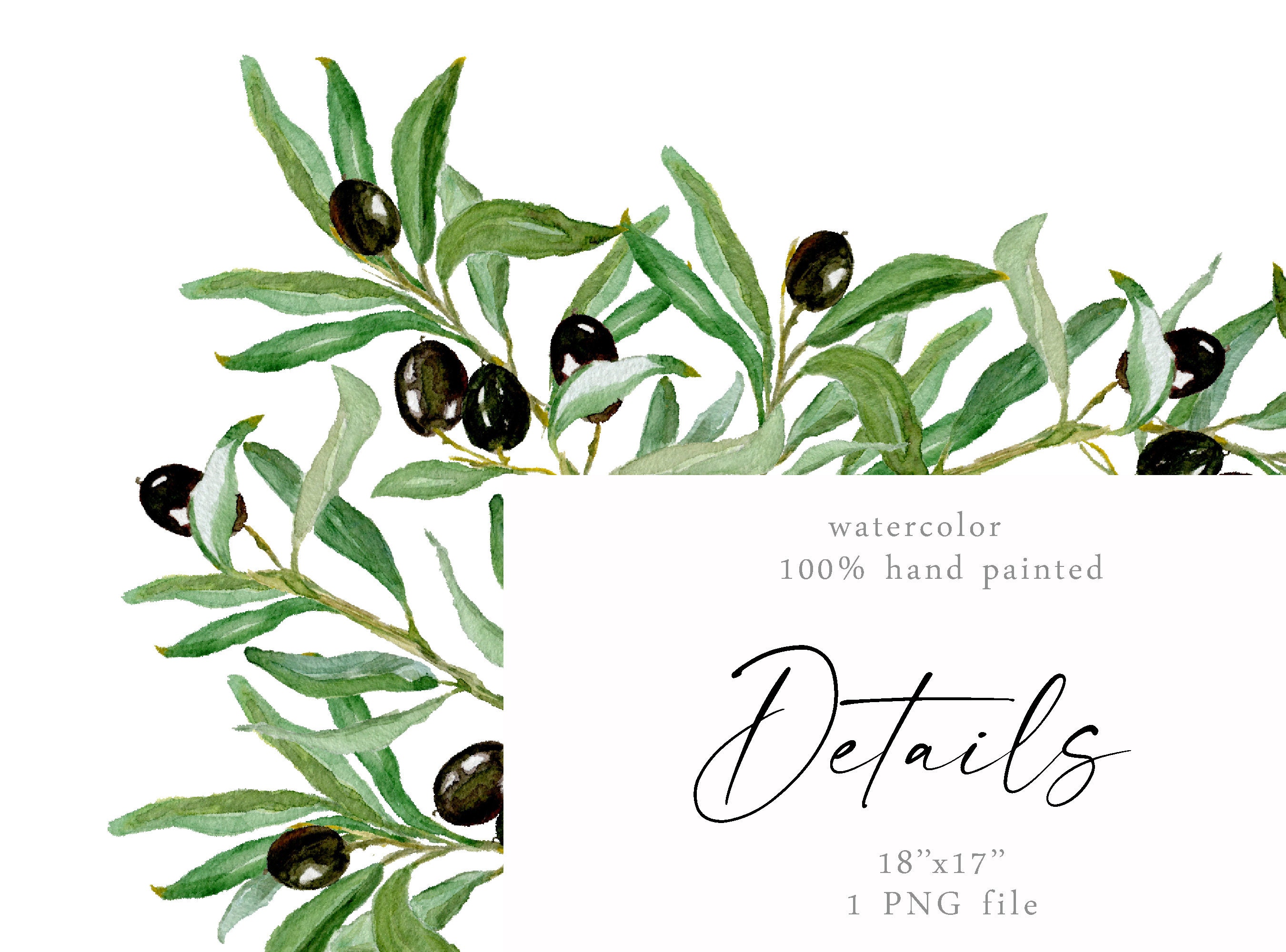 Watercolor Olive Frame PNG Geometric Rectangular Border Greenery ...
