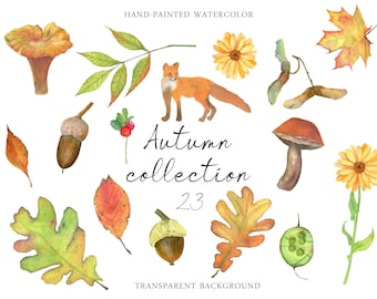 Watercolor forest Autumn elements Bucket list Fall decor Woodland plants clipart Wild flora Red berries Acorns Mushrooms Marigold Fox  PNG