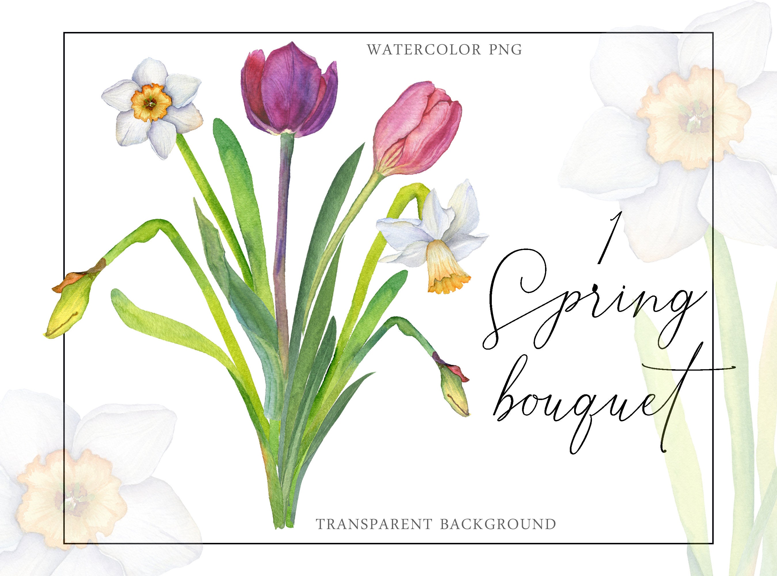 Watercolor Spring Bouquet Flowers Daffodil Tulip PNG Floral Composition ...
