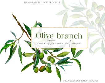 May include: Watercolor illustration of an olive branch with green leaves and olives. The text "Olive branch watercolor" is displayed in a gold-framed rectangle. The background is transparent.