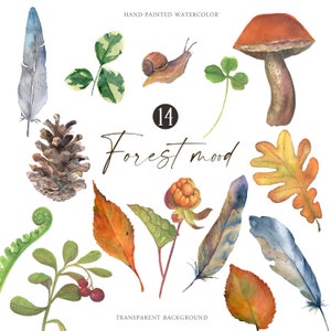Aquarell Wald Botanik Elemente Laub Clipart Waldpflanzen Wildflora Beeren Farn Klee Pilz Feder Digital PNG Naturstudie