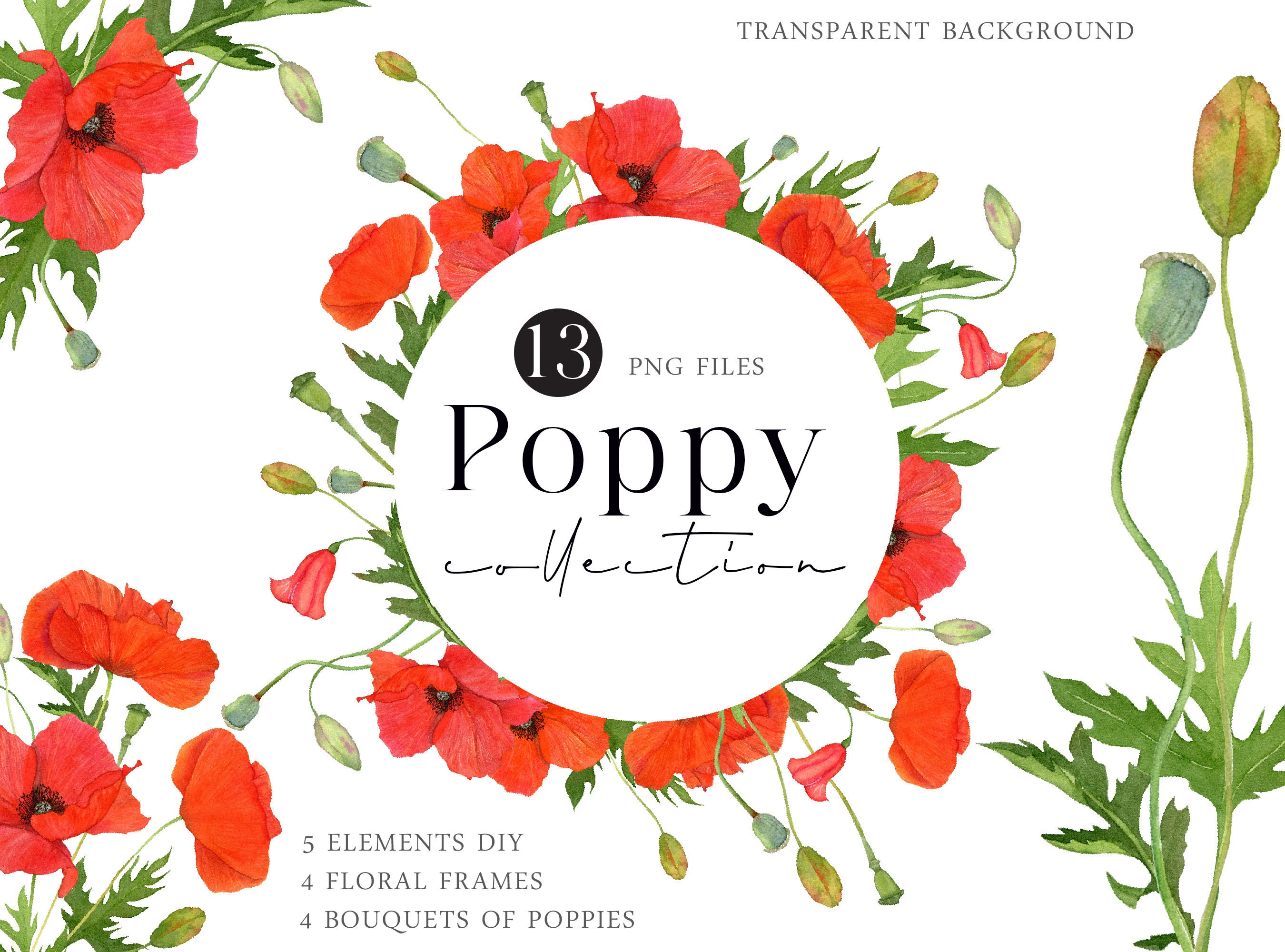 Red poppy flower clipart Field wild flowers Frame Watercolor floral meadow Bouquet arrangement Summer border Invites PNG Valentine's Day RP