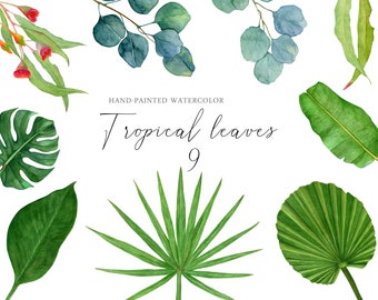 Tropical Leaves Watercolor Clipart, Monstera Eucalyptus PNG Set, Botanical Greenery Graphics, Palm Leaf Illustration, Jungle Wedding Decor