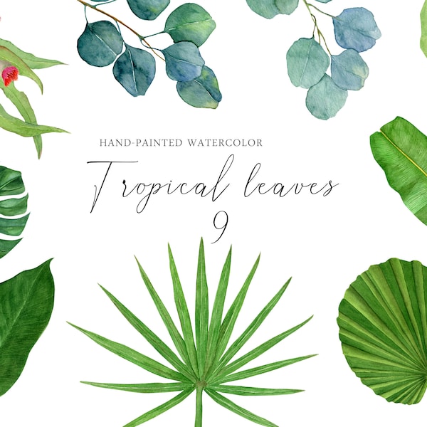 Watercolor tropical plant exotic clipart green leaves palm monstera eucalyptus gum-tree transparent background PNG