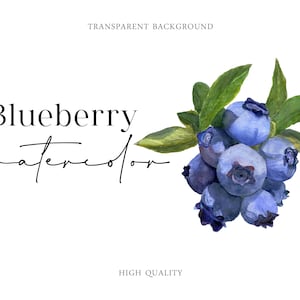 Aquarel bosbessen bosbessen groene bladeren blauwe bessen botanische illustratie bosgroen png digitale download