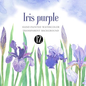 Aquarell lila Blumen Iris Clipart PNG Violet Floral DIY Elements botanische Illustration Set für die Erstellung von Hochzeitseinladungen