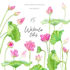 Ensemble de lotus roses aquarelles Collection de nénuphars feuilles vertes clipart floral élément de fleurs de lac design botanique png Téléchargement instantané