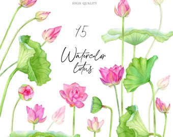 Set di clipart di fiori di loto rosa ad acquerello: illustrazioni botaniche (download digitale PNG)