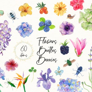 Pacchetto acquerello fiori insetti bacche verdi illustrazione botanica Elementi fai da te Carta di invito matrimonio logo clipart png
