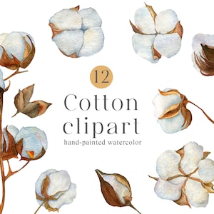 Aquarell Baumwolle Clipart PNG Boho Blumen Winter Clipart trocken geblümt Baby Shower