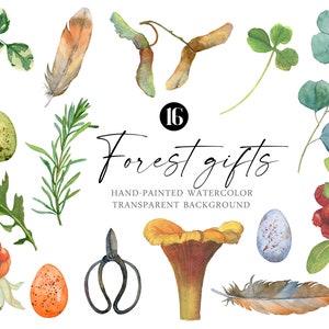 Aquarelle forêt clipart forêt botanique éléments plantes flore sauvage baies rouges girolles verdure oeufs plumes Homeschool Journal