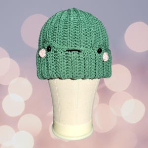 May include: A green crocheted beanie with a cute cartoon face. The beanie has pink cheeks and black eyes.