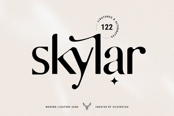 Skylar Modern Ligature Sans Font Etsy