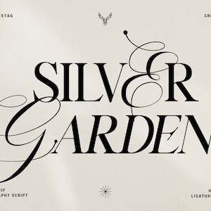 Silver Garden - Nostalgic Font Duo