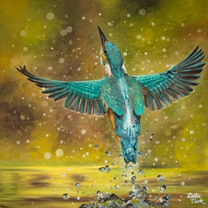 Kingfisher Rising - Giclee Art Print