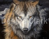Wolf Portrait Art Print: Giclee A3, Fine Art Paper