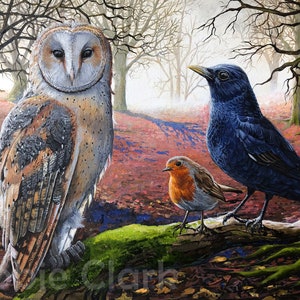 Barn Owl Wildlife Art Print on A2 - signed Limited Edition Giclee Print - The Gathering - British Birds Wildlife Art