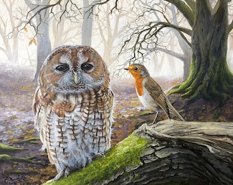 Tawny Owl Art Print on A2 - Signed Limited Edition Giclee Print - Title: The Messenger - Owl and Robin Wildlife Painting