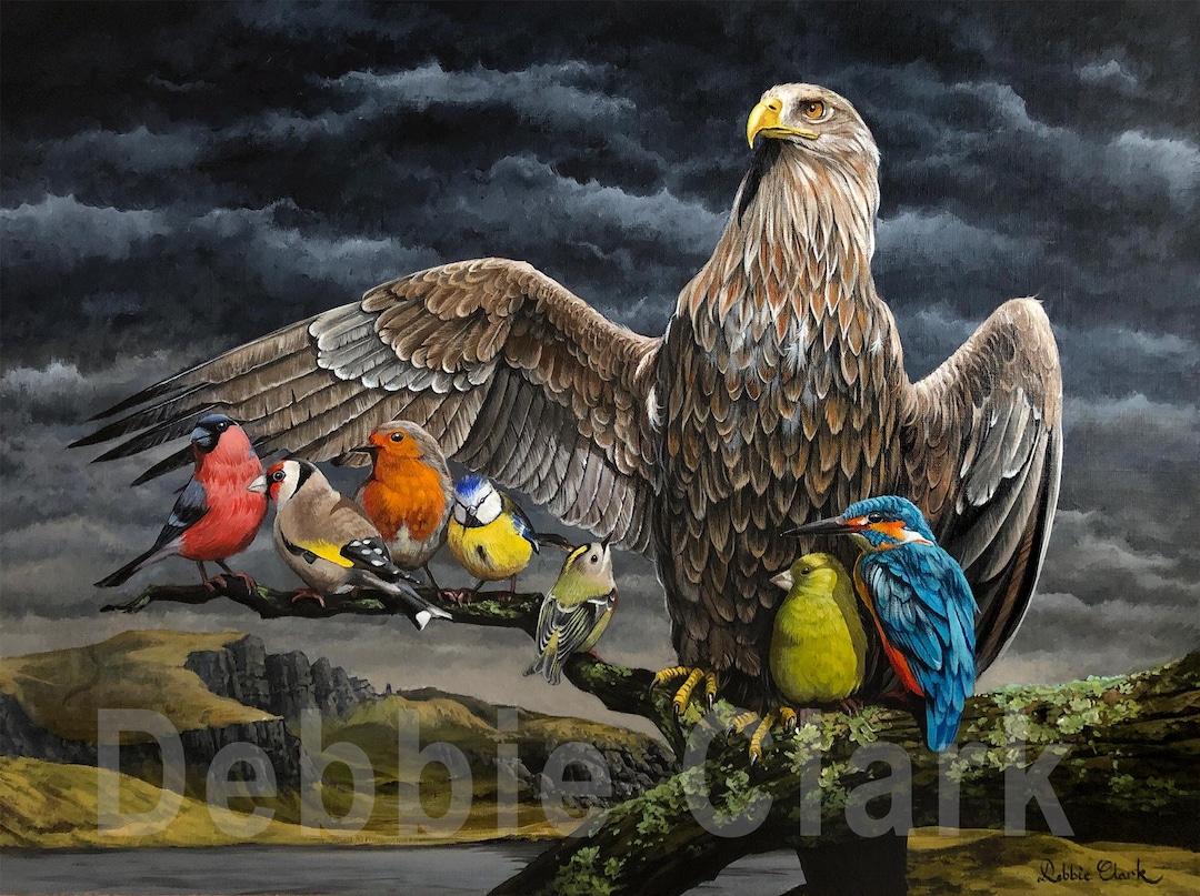 Golden Eagle Painting, Giclee Art Print A3, Scottish Birds, Wildlife ...