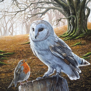 Barn Owl and The Robin Art Print - Wildlife Art - Limited Edition Giclee Print