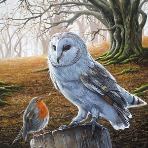 Barn Owl and The Robin Art Print - Wildlife Art - Limited Edition Giclee Print