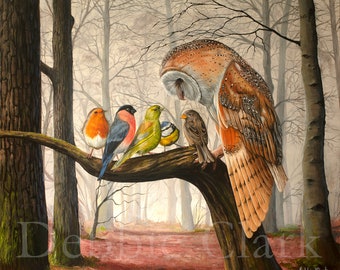 Giclee Art Print - Barn Owl and Birds Art