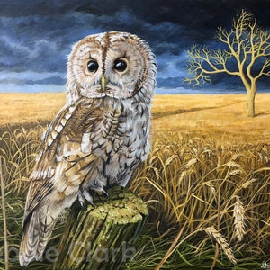 Eule Kunstdruck auf A2 - Signierte Limitierte Auflage - Titel: The Guardian Owl - British Birds - Tawny Owl Painting Wildlife Art