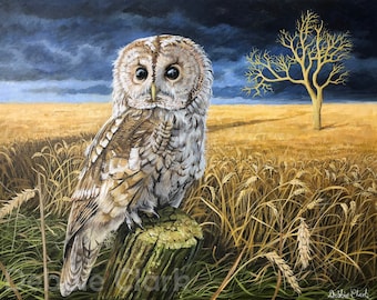 Impresión artística de búho leonado de edición limitada en tamaño A2: pintura firmada de fauna británica
