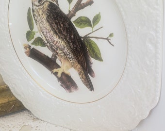 Assiette hibou Lord Nelson assiette carrée en relief assiette pour amoureux des oiseaux assiette cadeau pour les amateurs de hiboux assiette d'observateur d'oiseaux assiette cadeau pour papa ornithologue amateur