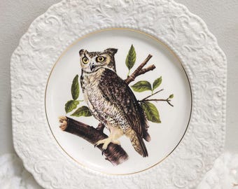 Assiette hibou Lord Nelson : assiette de présentation de poterie en relief