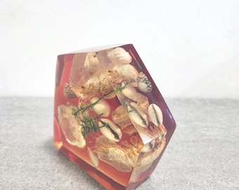 海辺の要素が埋め込まれたヴィンテージ樹脂製ペーパーウェイト