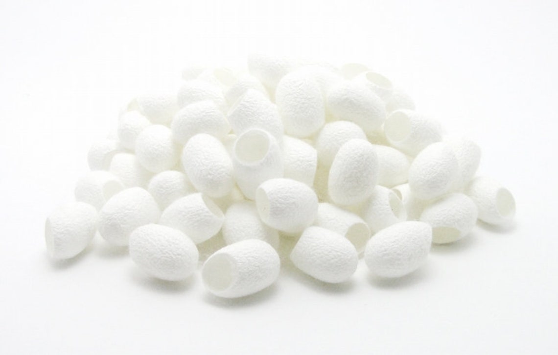Cocons De Ver à Soie Naturels - Exfoliant & Gommage Corporel Purifiant - Neuf