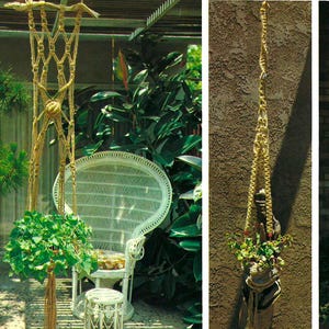 May include: A collection of handmade macrame plant hangers in various styles. One hanger holds a green plant, another a glass terrarium, and a third a decorative pot with greenery. The hangers are made of natural-colored rope and are displayed outdoors.