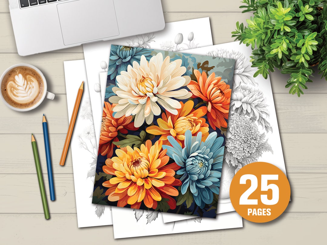 25 Beautiful Chrysanthemums Coloring Book Adults Kids Coloring Pages