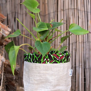 Può includere: Una pianta in vaso con grandi foglie verdi in un vaso di tessuto beige. Il bordo superiore del vaso è foderato con un tessuto fantasia colorato in verde, rosso e nero. Il vaso è appoggiato su una superficie di legno.