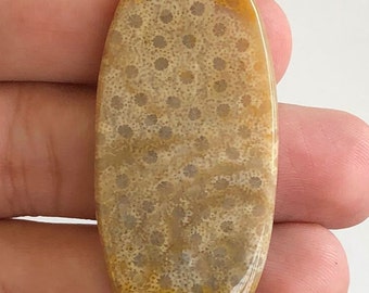 Gorgeous Natural Fossil Coral Gemstone, Fossil Coral Cabochon Gemstones, Top Quality Cabochon Fossil Coral Gemstones For Jewellery Making