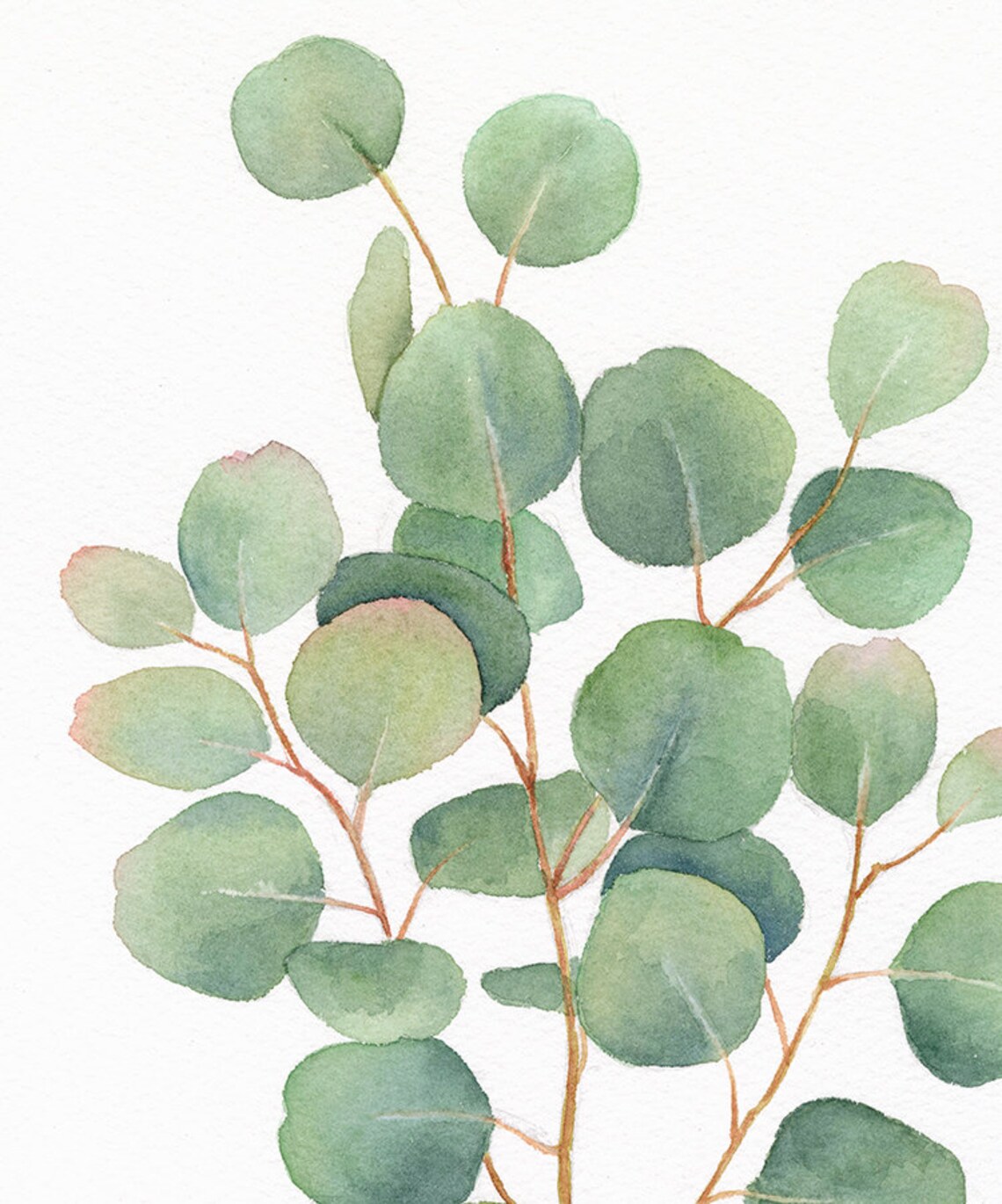 Eucalyptus ORIGINAL Watercolour Painting Green Plant Etsy
