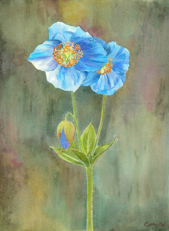 Painting Art & Collectibles Watercolor SUCCULENT Watercolor Print from