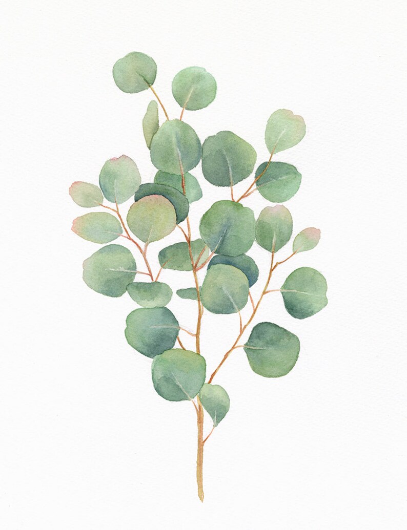 Eucalyptus ORIGINAL Watercolour Painting Green Plant Etsy
