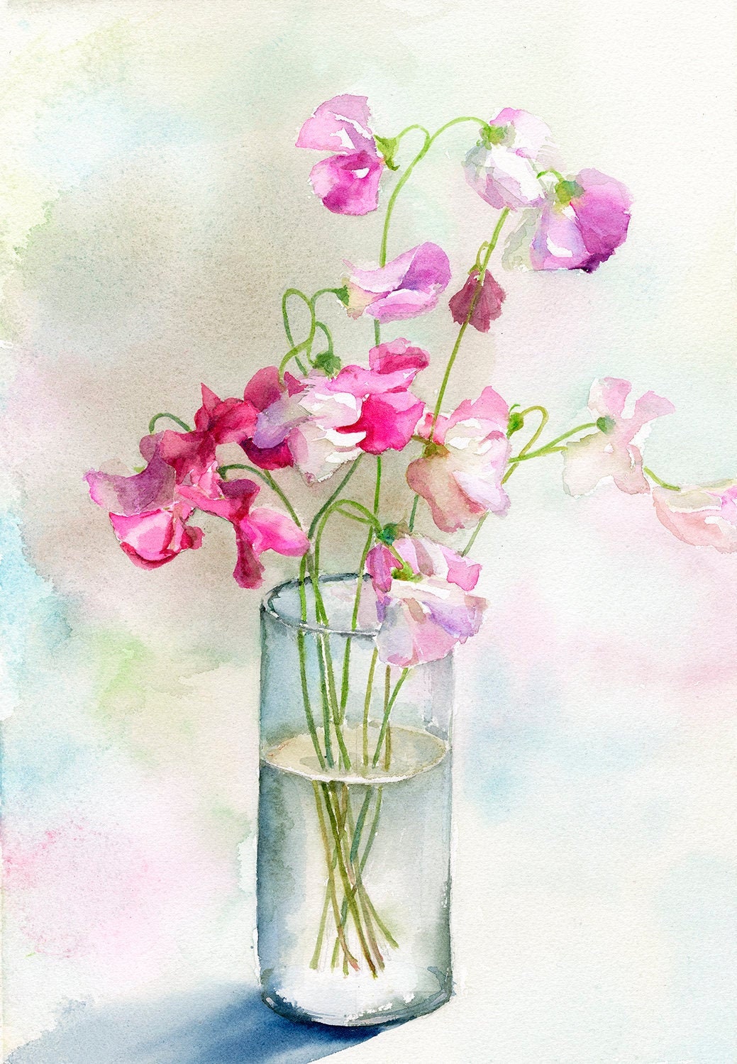 Sweet Pea Flower Watercolour Painting Print Flower Art Print Etsy