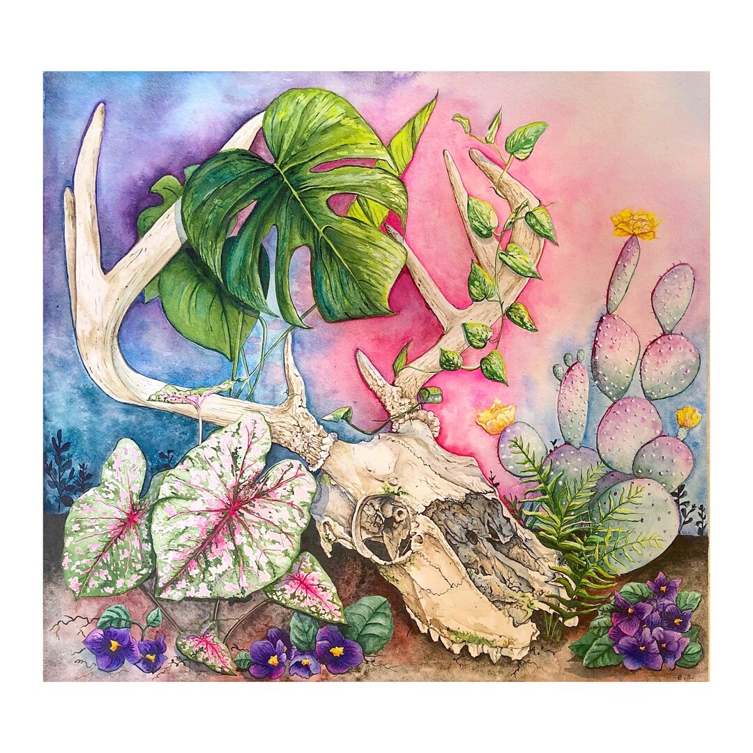 Signed and Numbered Giclee Print regeneration Please Read Shipping