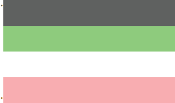 Idemsexual Pride Flag; LGBTQ; 2x3, 3x5, 6x8 - Etsy