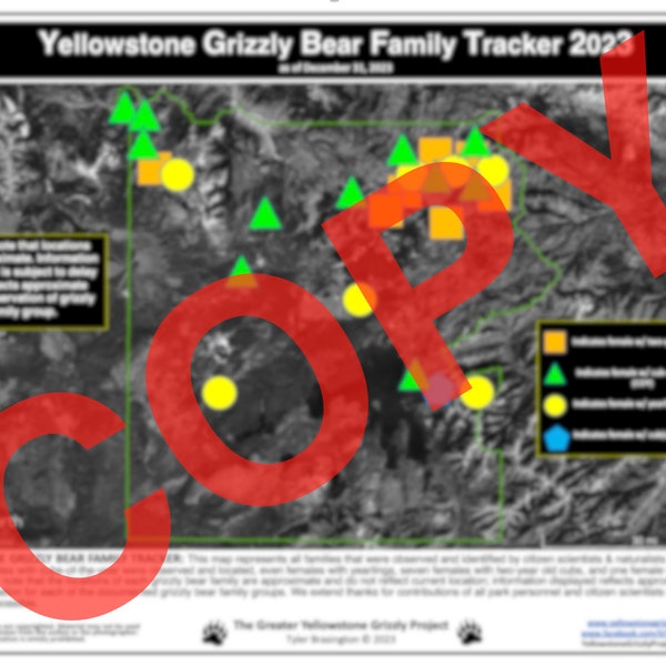 DIGITAL Yellowstone Grizzly Bear Tracker & Occupied Range Chart