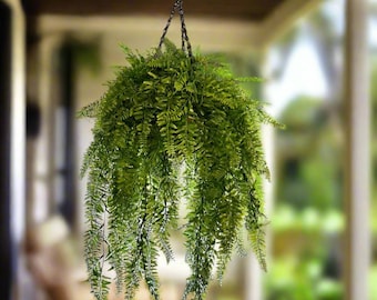 Cesta colgante artificial de helecho de Boston: Vegetación exuberante, 20 cm