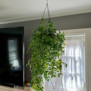 Outdoor Artificial Trailing Plants - Etsy