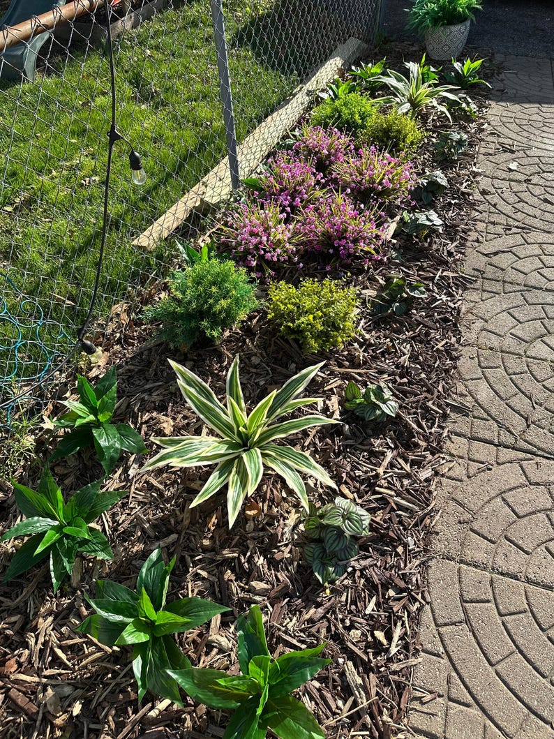 Planta artificial Brazilian Beauty Tequila de 20 hojas para jardín. imagen 7