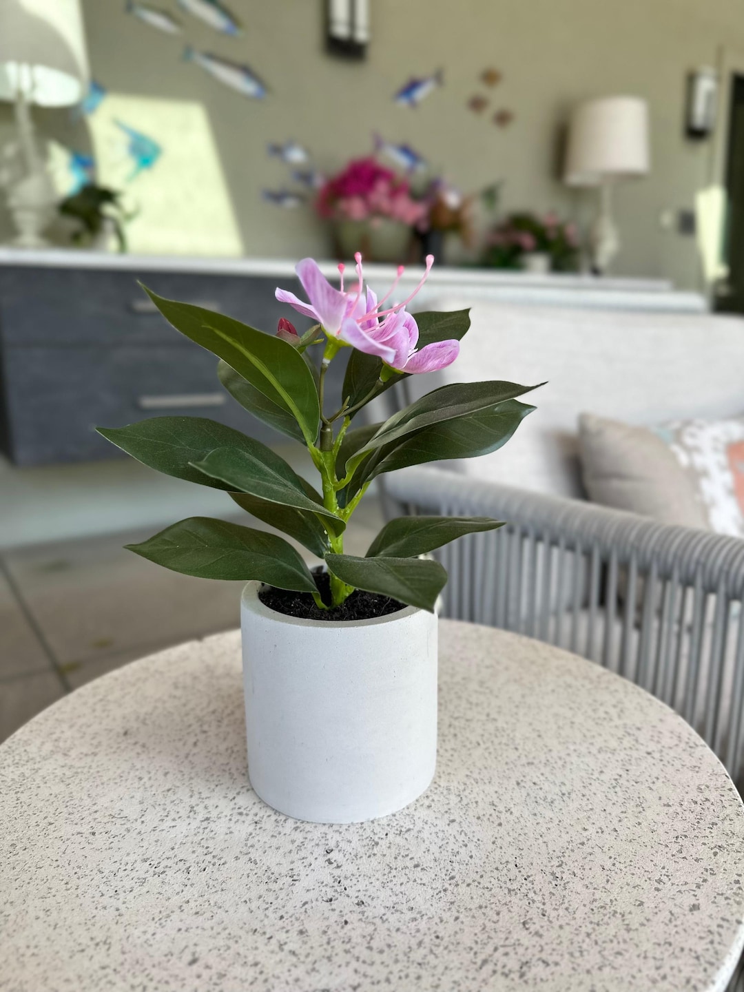 Francis - Pacific Rhododendron Artificial Indoor Plant in Cement Vase ...
