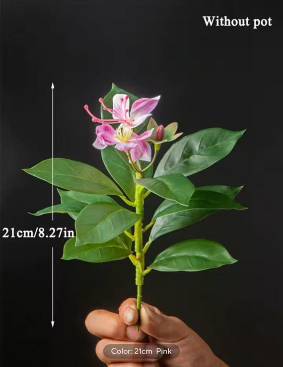 Francis - Pacific Rhododendron Artificial Indoor Plant in Cement Vase - Etsy